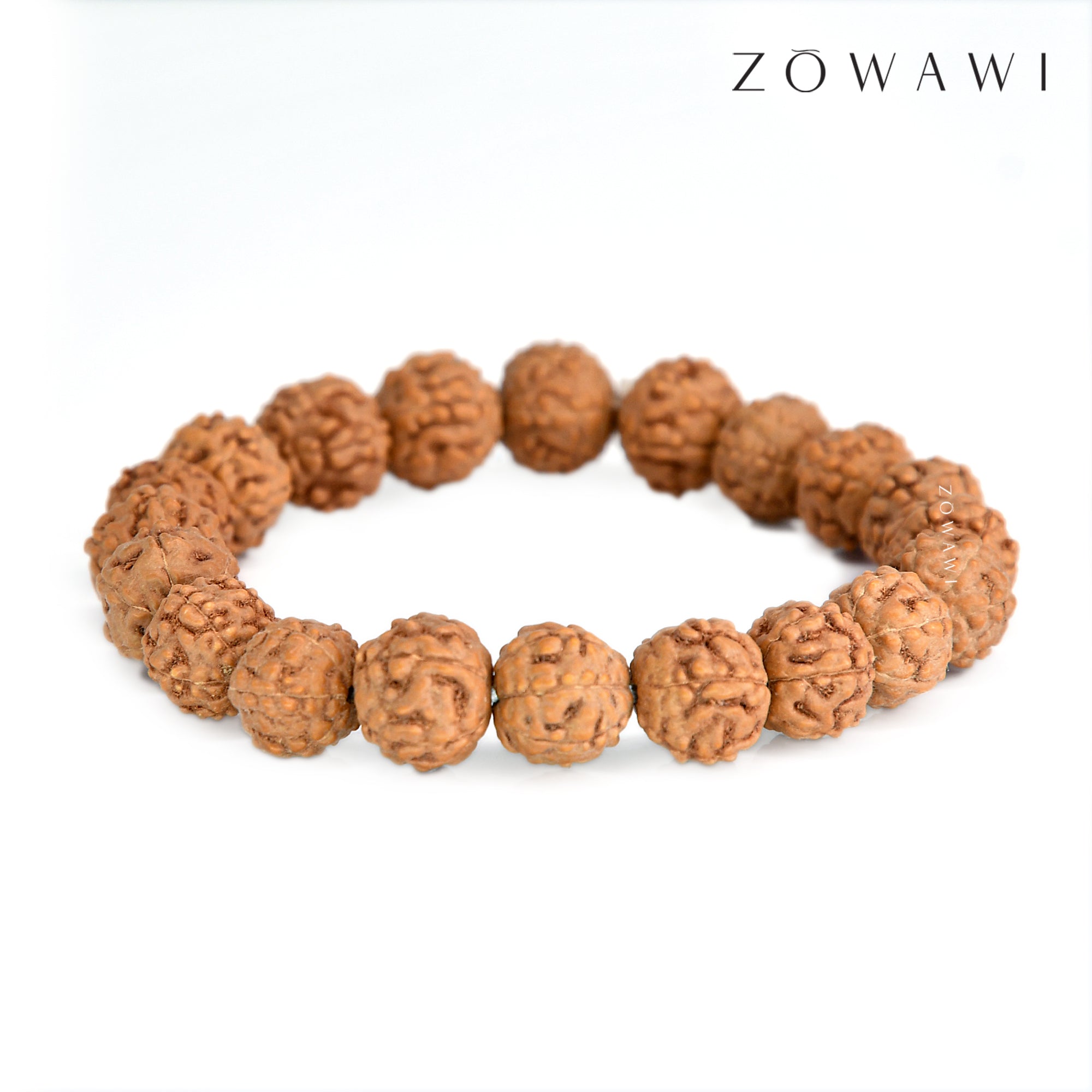 Energized 6 Mukhi Rudraksha Bracelet