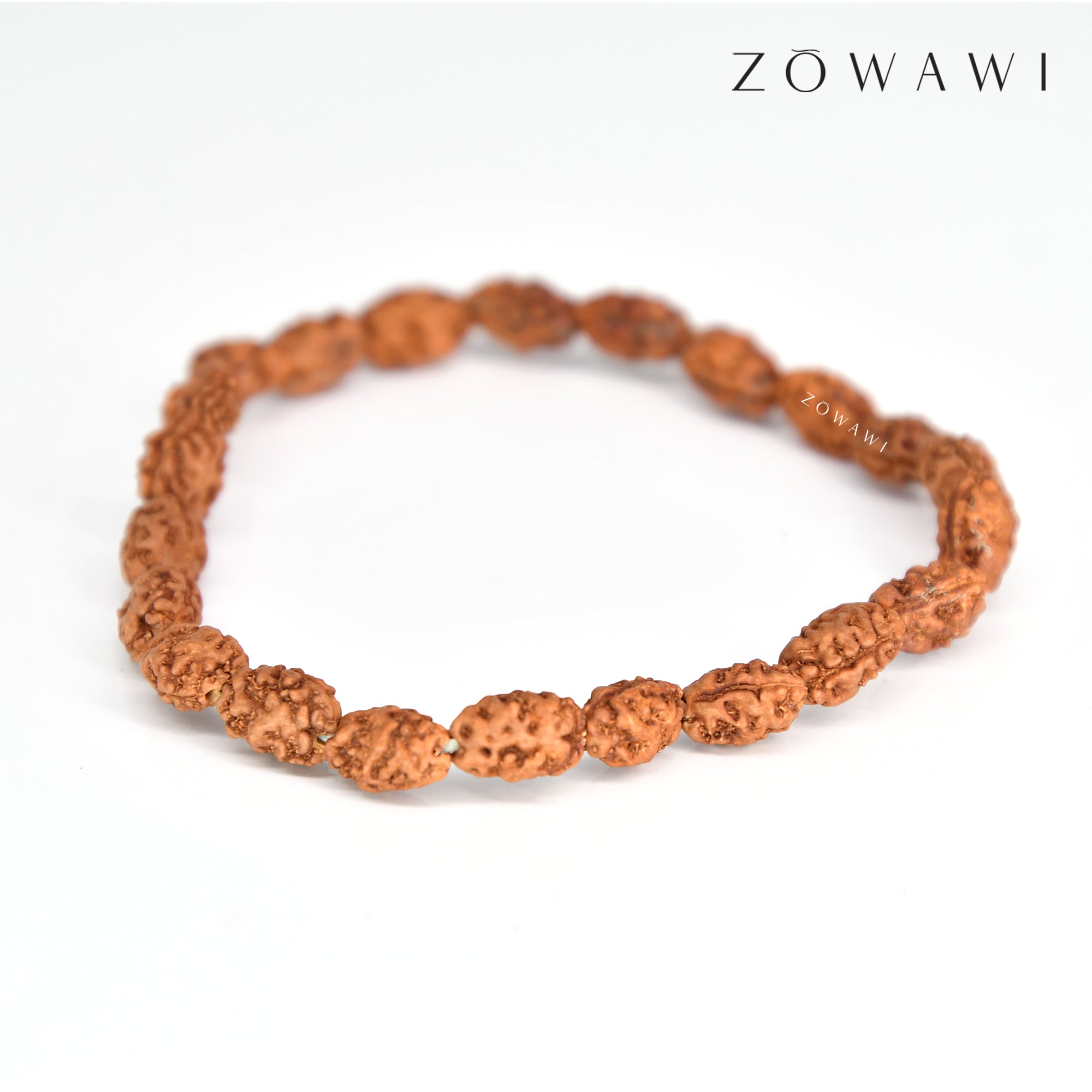 Energized Natural 2 Mukhi Rudraksha Bracelet