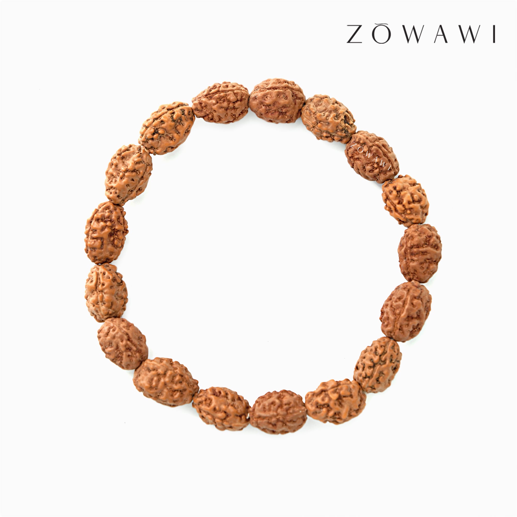Energized 3 Mukhi (Face) Rudraksha Bracelet