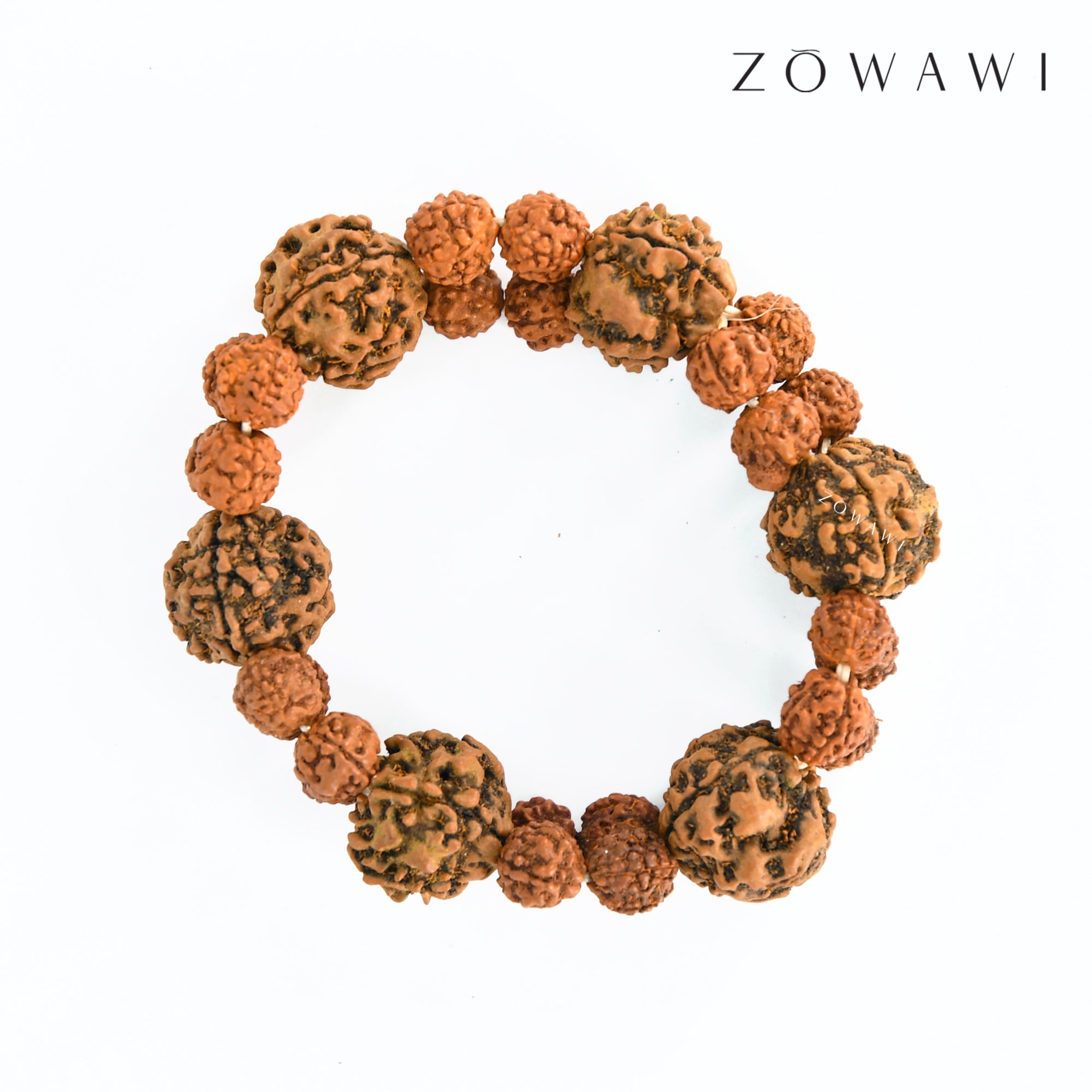 Energized Natural 4 Mukhi Rudraksha Bracelet