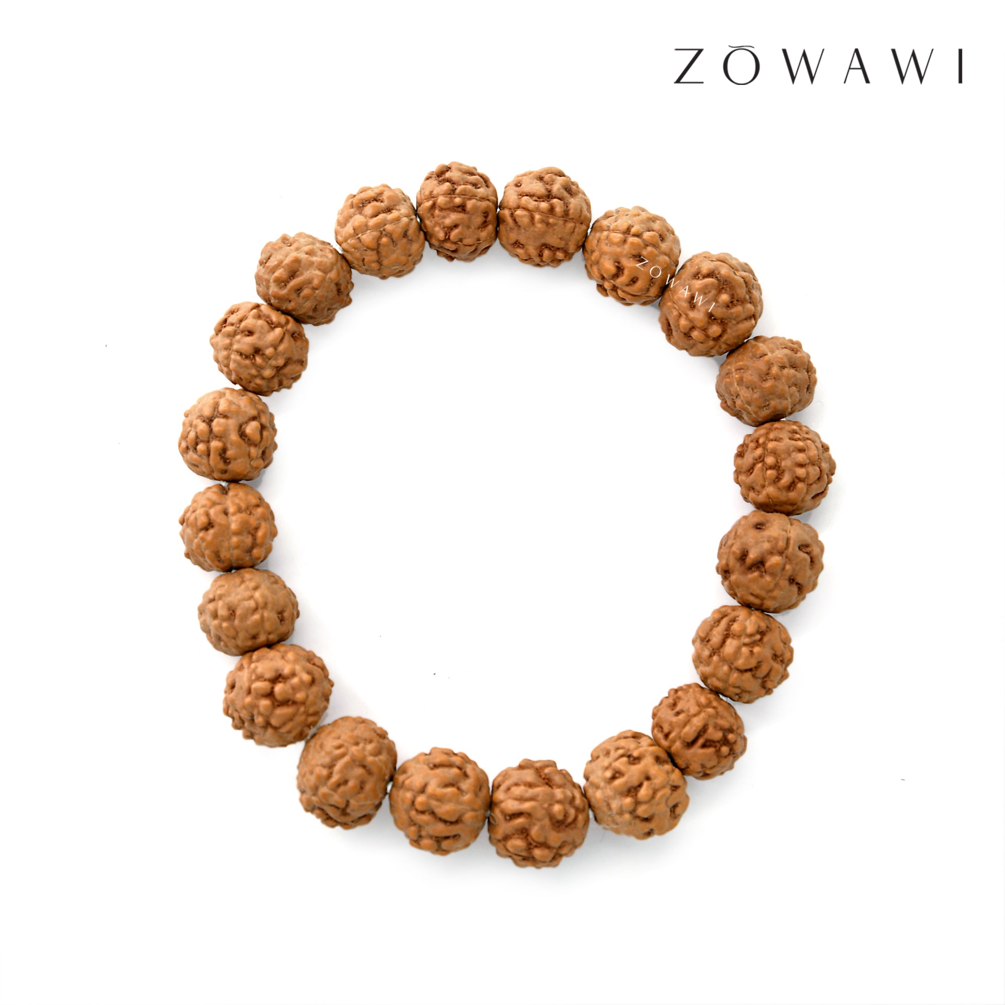 Energized 6 Mukhi Rudraksha Bracelet