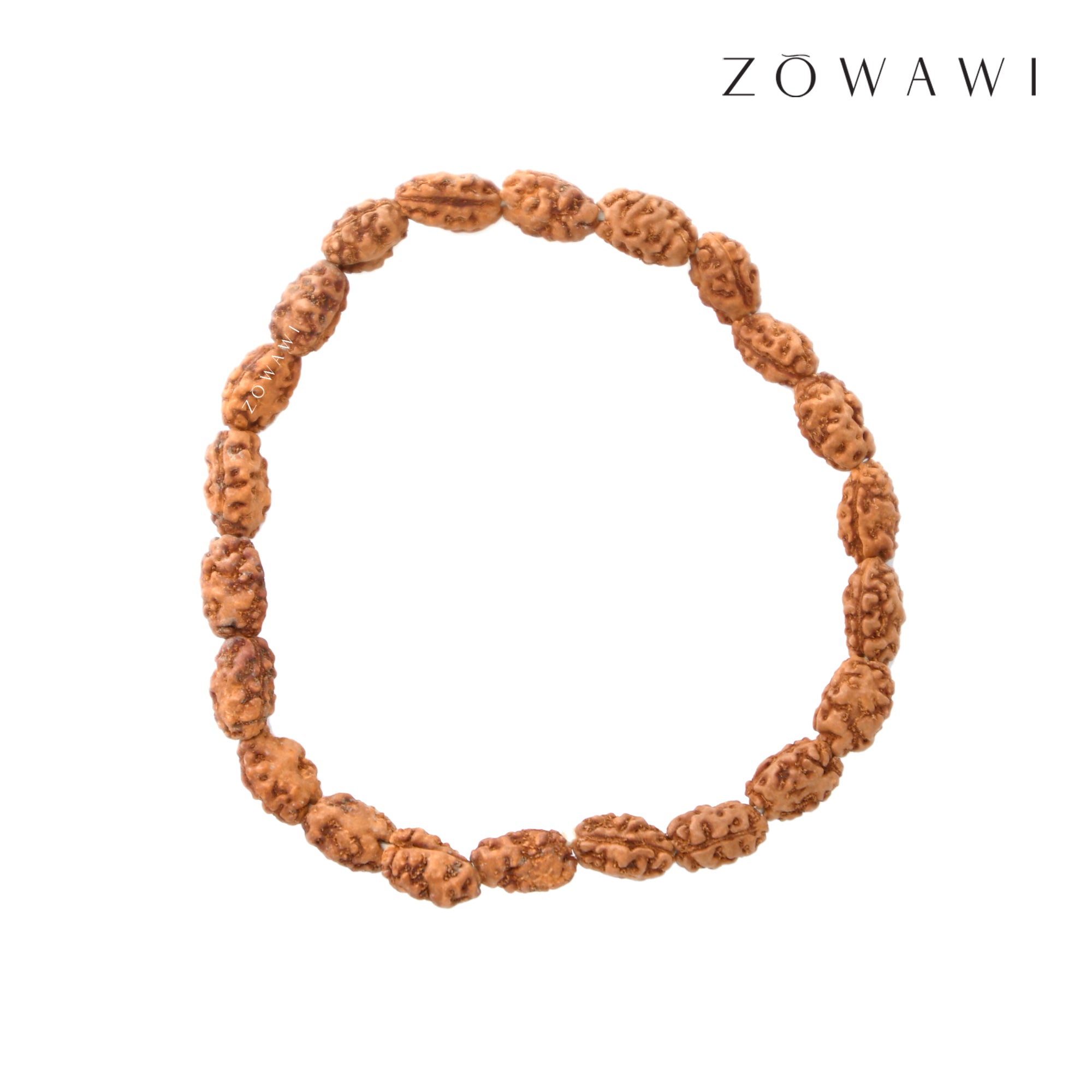 Energized Natural 2 Mukhi Rudraksha Bracelet