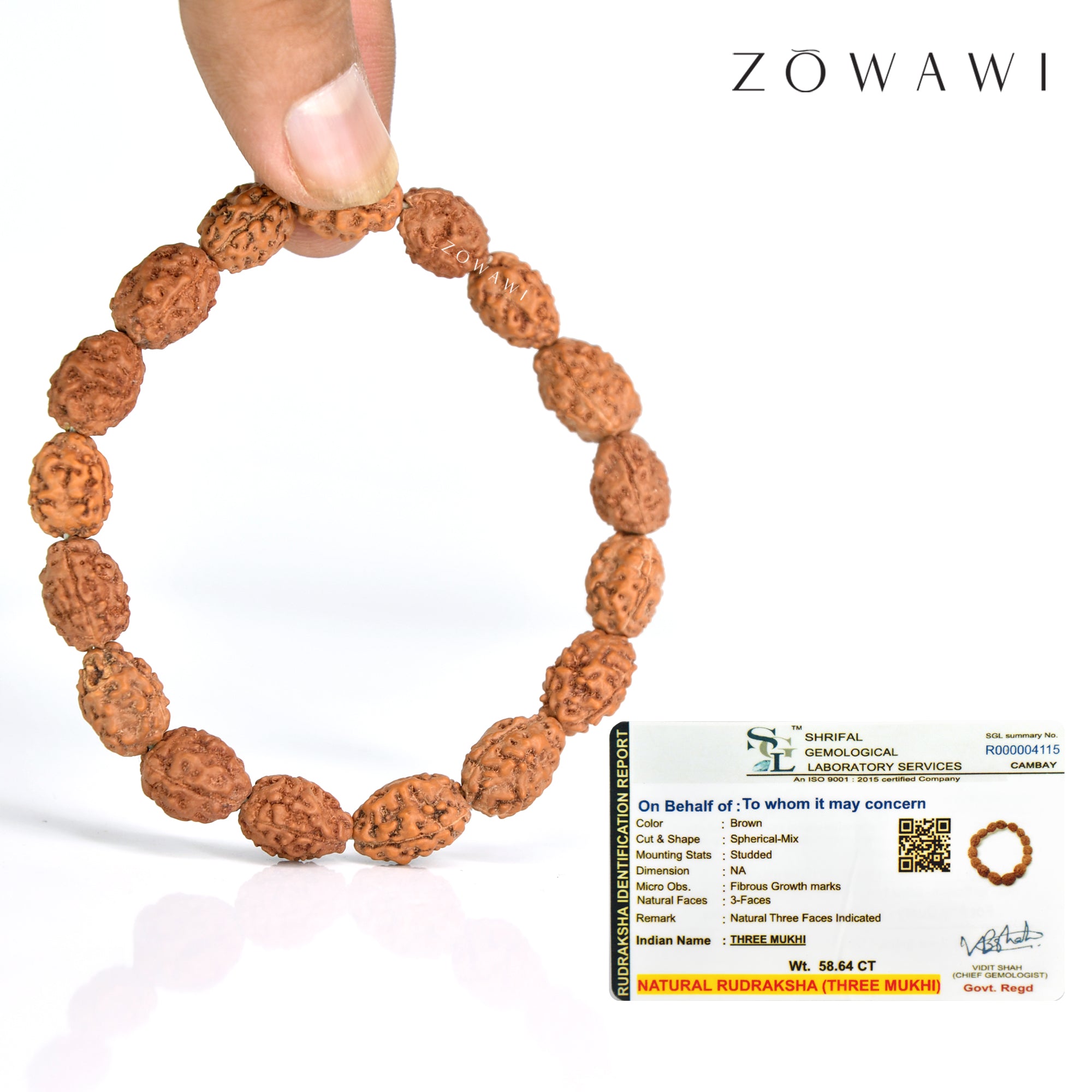 Energized 3 Mukhi (Face) Rudraksha Bracelet