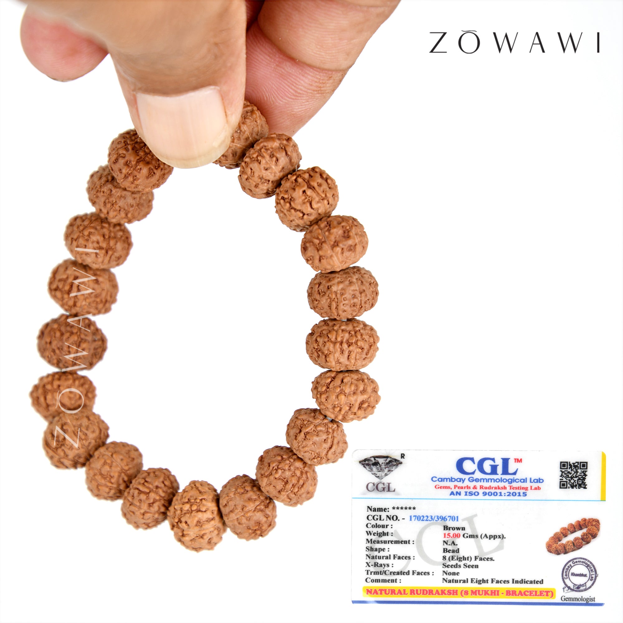 Energized Indonesian 8 Mukhi Rudraksha Bracelet
