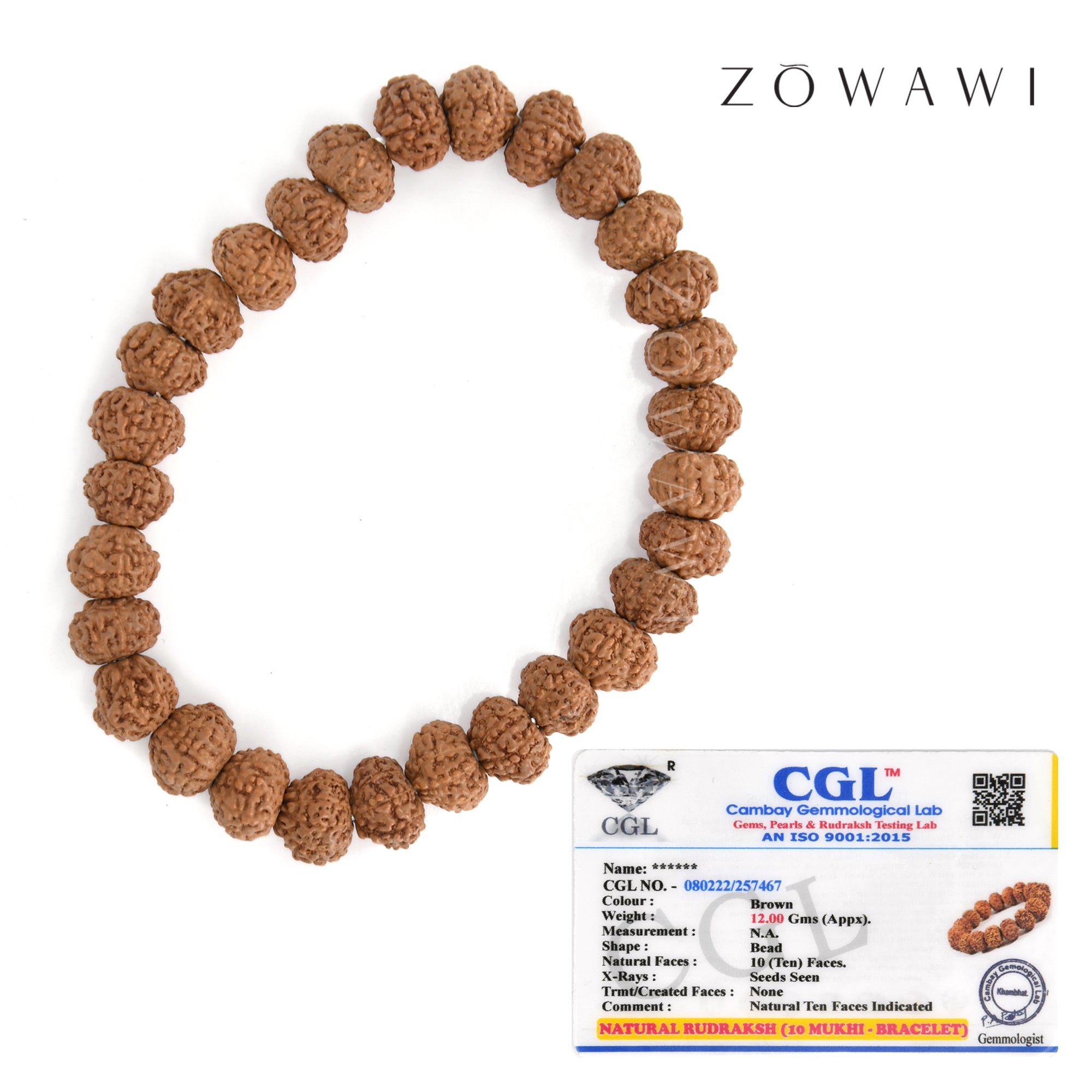 Energized Indonesian 10 Mukhi Rudraksha Bracelet