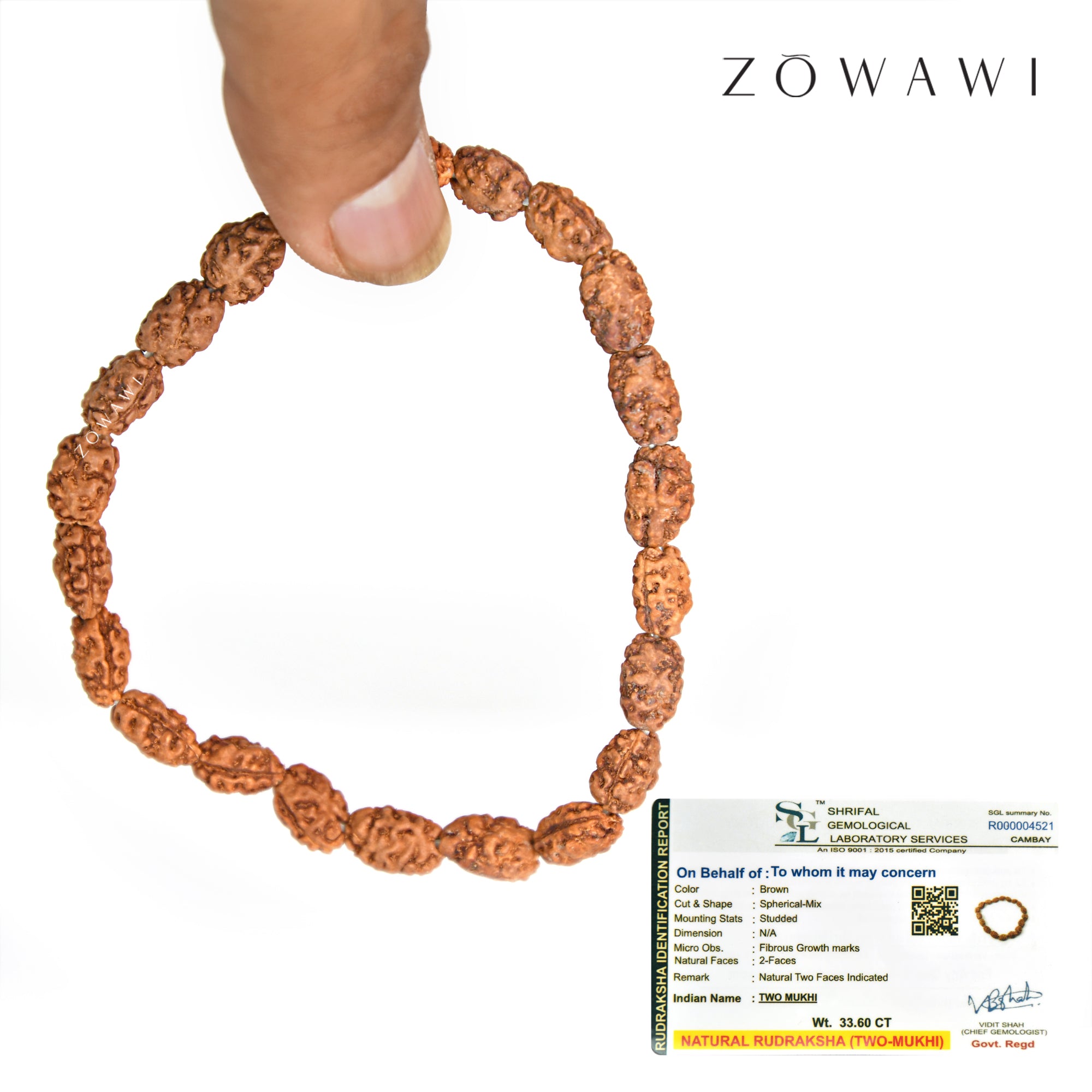 Energized Natural 2 Mukhi Rudraksha Bracelet