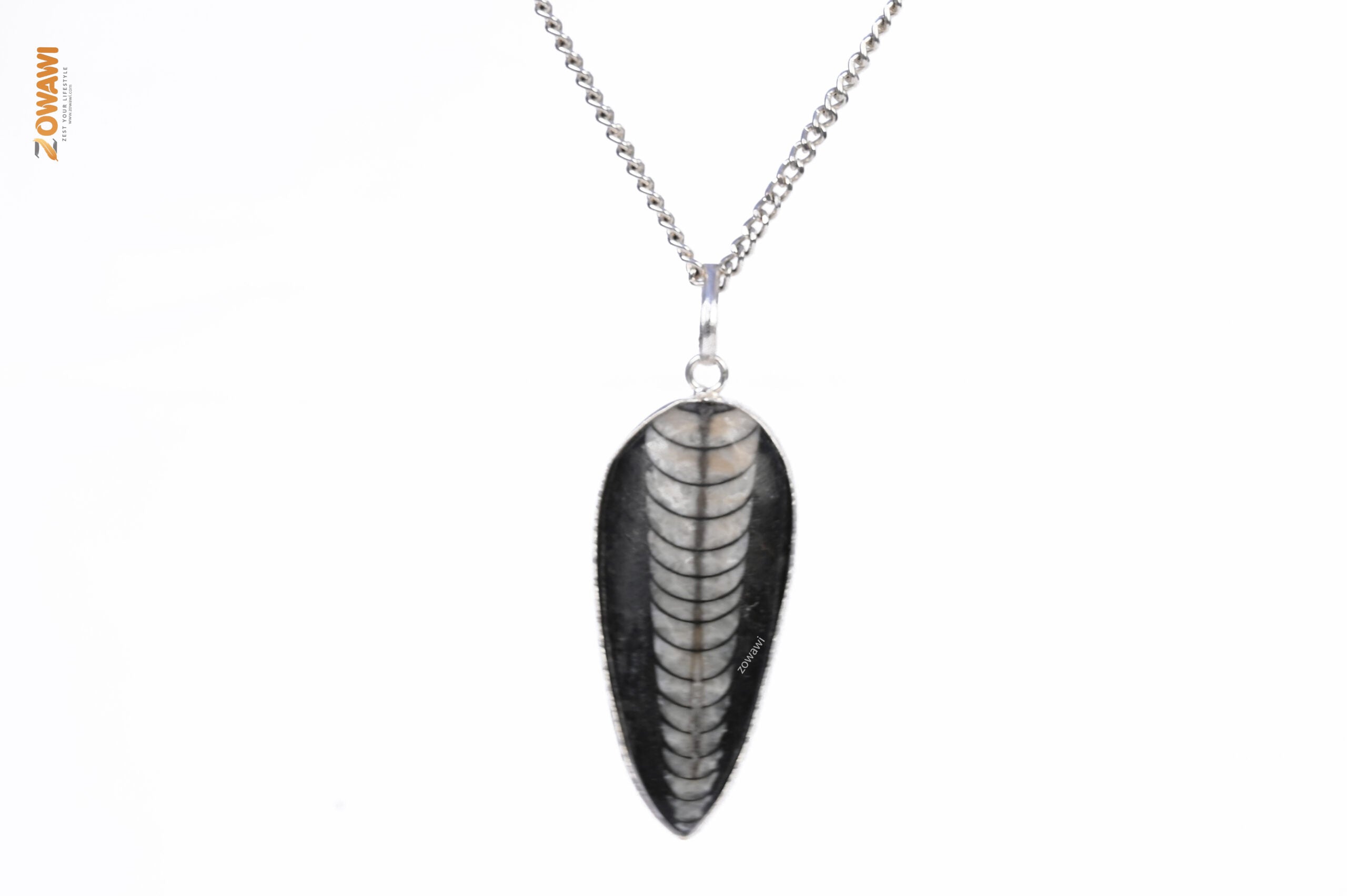 Natural Orthoceras Kuber Unisex Pendant In Sterling Silver