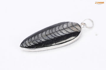 Natural Orthoceras Kuber Unisex Pendant In Sterling Silver