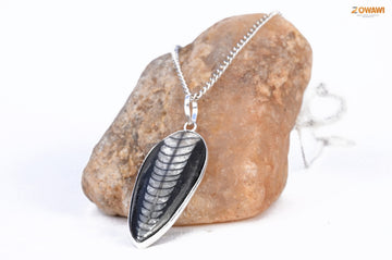 Energized Orthoceras Pendant (Kuber Pendant)
