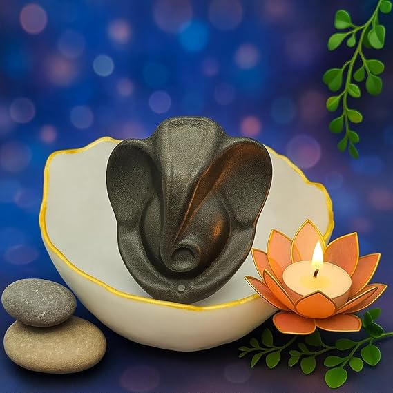 Siddh Energized Money Bowl With Pyrite Ganesha