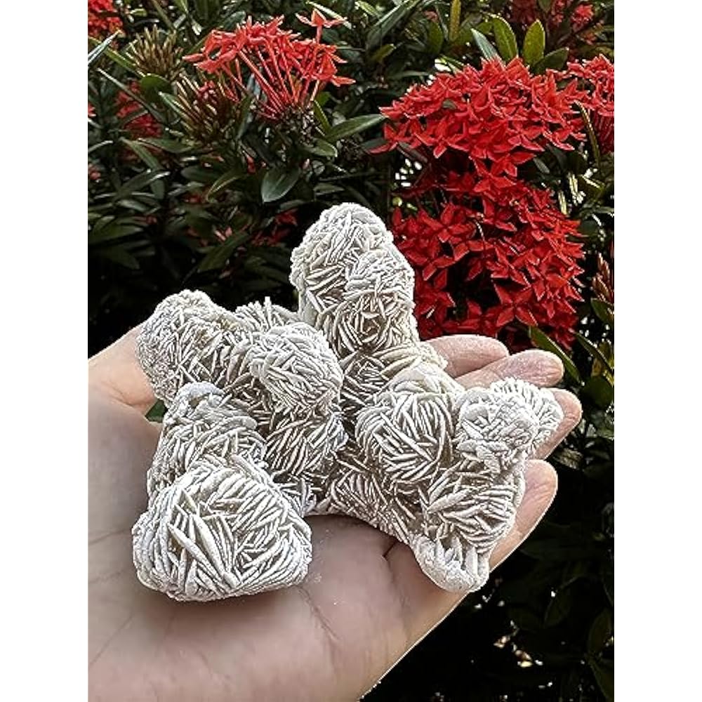 Natural Desert Rose Crystal From Mexico Weight 500ct to 600ct