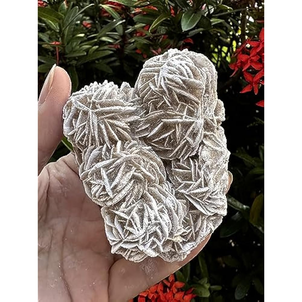 Natural Desert Rose Crystal From Mexico Weight 500ct to 600ct