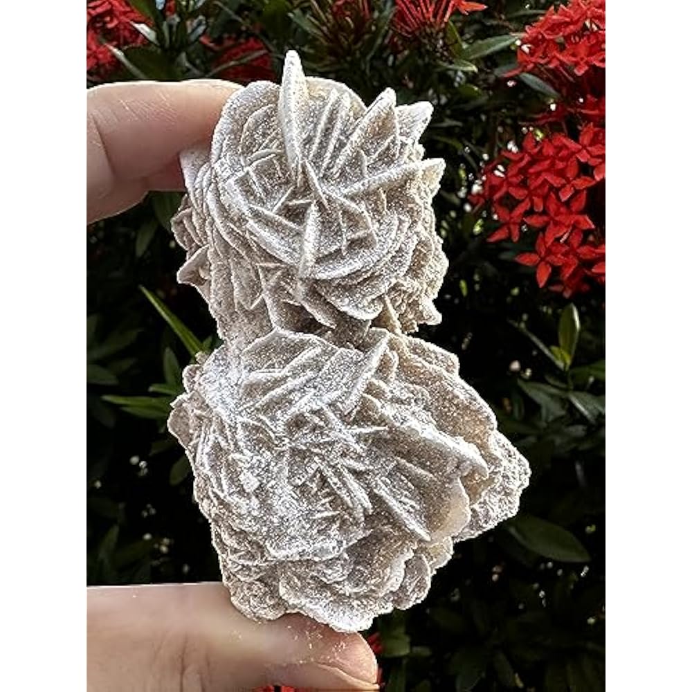 Natural Desert Rose Crystal From Mexico Weight 500ct to 600ct