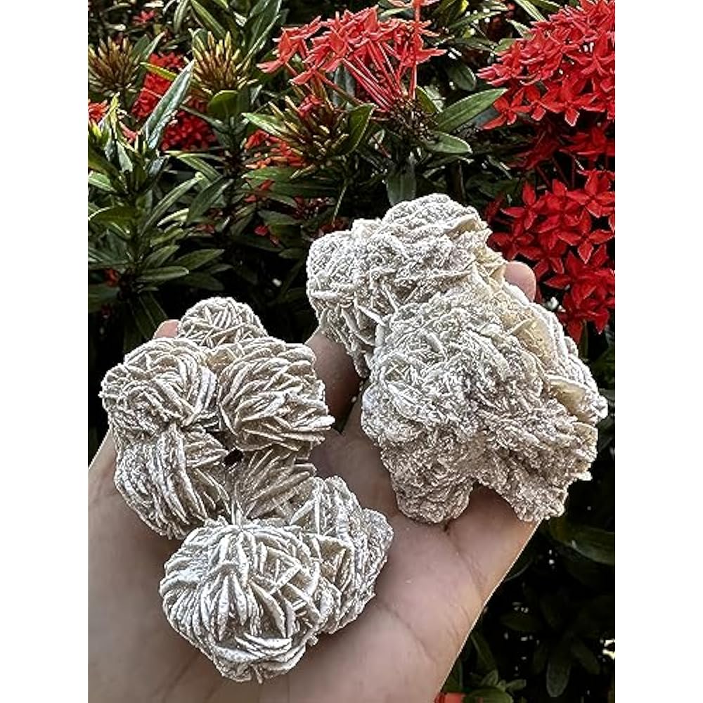Natural Desert Rose Crystal From Mexico Weight 500ct to 600ct