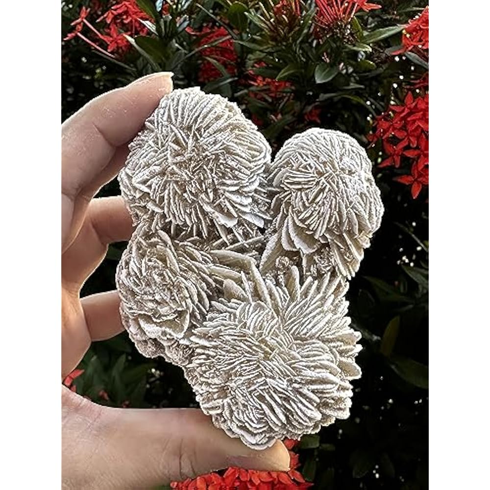 Natural Desert Rose Crystal From Mexico Weight 500ct to 600ct