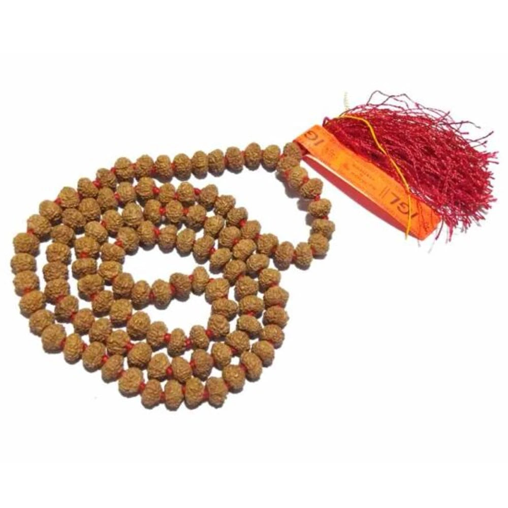 7 Mukhi Rudraksha Mala